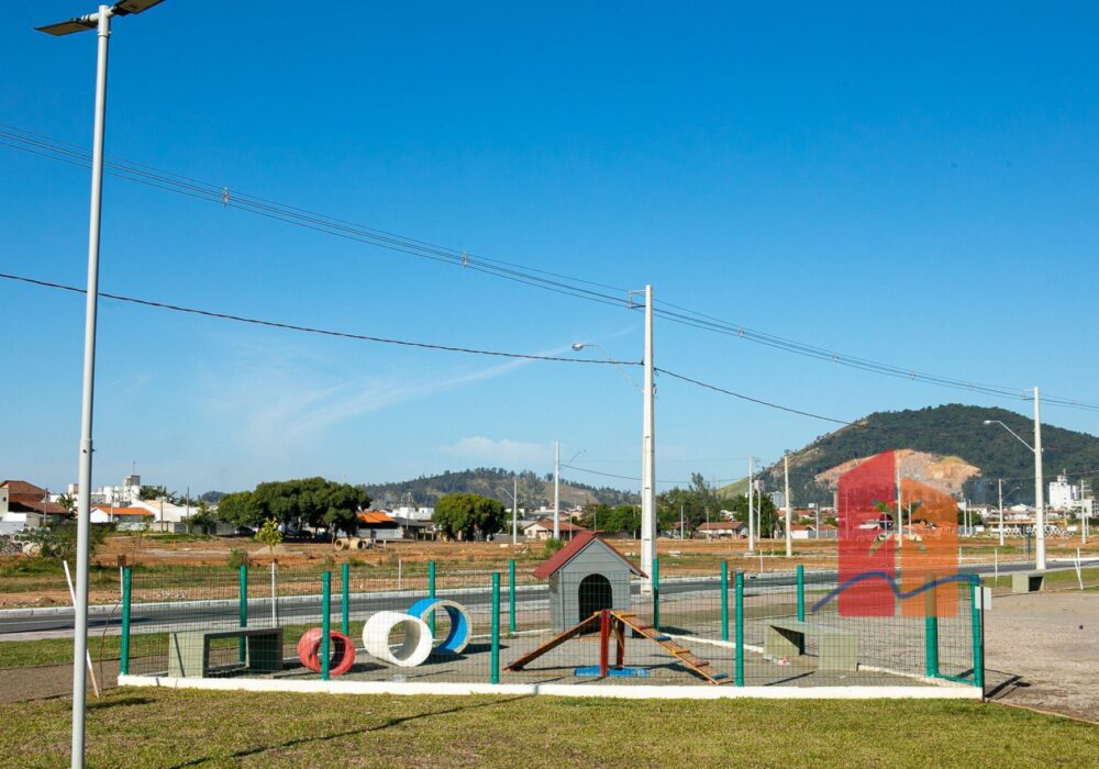 Pet Place 05